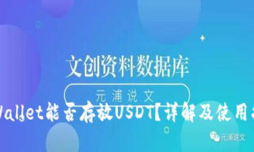 TPWallet能否存放USDT？详解及使用指南