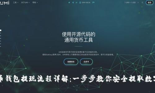 虚拟币钱包提现流程详解：一步步教你安全提取数字资产