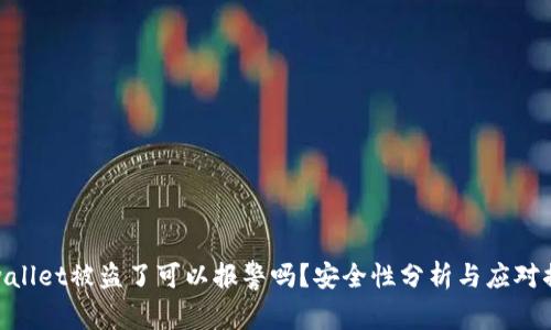 tpwallet被盗了可以报警吗？安全性分析与应对措施