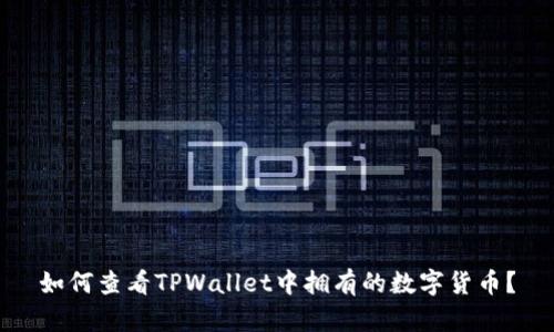 如何查看TPWallet中拥有的数字货币？