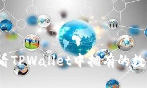 如何查看TPWallet中拥有的数字货币？