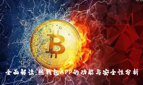 全面解读：热钱包APP的功能与安全性分析