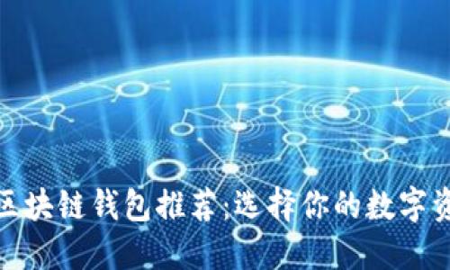 安全可靠的区块链钱包推荐：选择你的数字资产保护方案