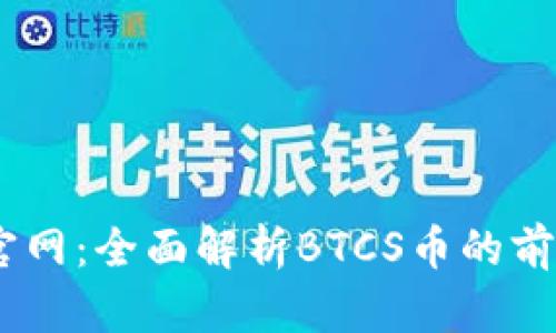 BTCS币官网：全面解析BTCS币的前景与应用