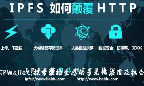 TPWallet：探索波场生态的多元化应用及机会