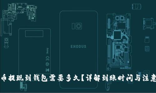 虚拟币提现到钱包需要多久？详解到账时间与注意事项