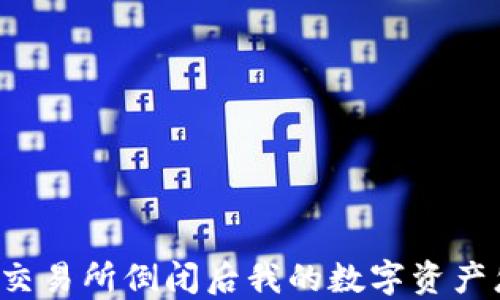 
虚拟币交易所倒闭后我的数字资产怎么办？