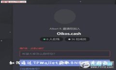 如何通过TPWallet获取BNB：简单指南