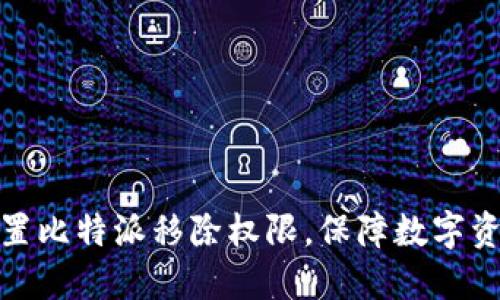 如何设置比特派移除权限，保障数字资产安全