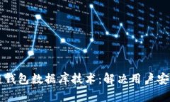 深入解析区块链钱包数据库技术：解决用户安全