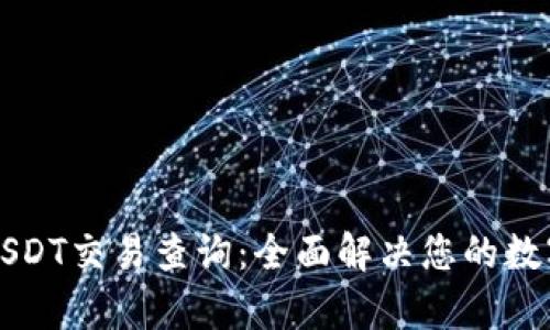 如何高效进行USDT交易查询：全面解决您的数字货币交易痛点