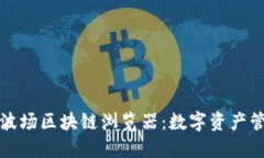 全面了解波场区块链浏览器：数字资产管理的利