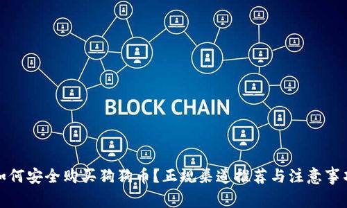 如何安全购买狗狗币？正规渠道推荐与注意事项