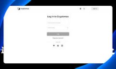 如何使用OKPay进行虚拟币交易：一步步教您解决交