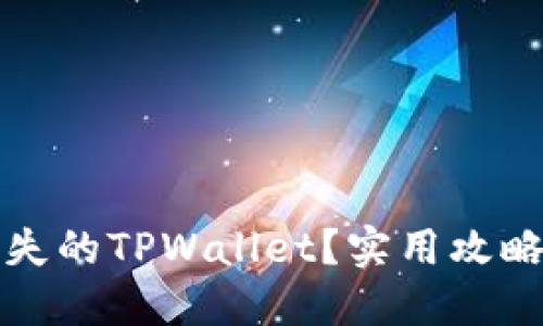 如何找回丢失的TPWallet？实用攻略与解决方案