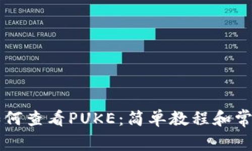 TPWallet如何查看PUKE：简单教程和常见问题解答