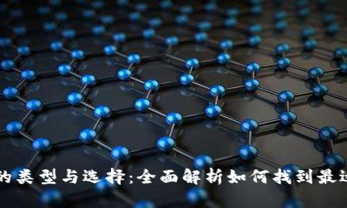 区块链钱包的类型与选择：全面解析如何找到最适合你的钱包