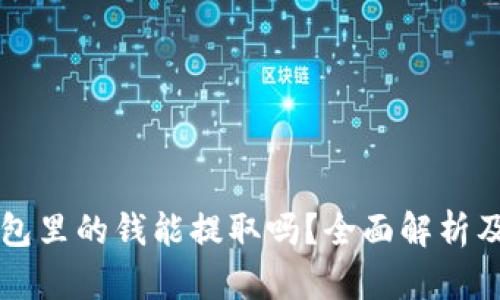 区块链钱包里的钱能提取吗？全面解析及操作指南