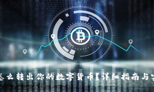 冷钱包怎么转出你的数字货币？详细指南与实用建议