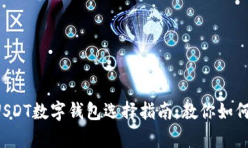 最安全的USDT数字钱包选择指南，教你如何存储USDT