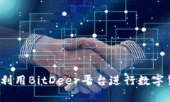 如何高效利用BitDeer平台进行数字货币挖矿？