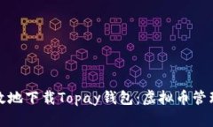 如何安全高效地下载Topay钱包：虚拟币管理的最佳