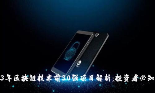 2023年区块链技术前30强项目解析：投资者必知宝典