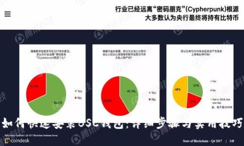 如何快速安装BSC钱包：详细步骤与实用技巧