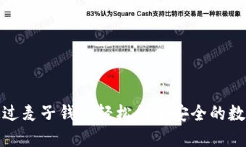 如何通过麦子钱包轻松创建安全的数字身份