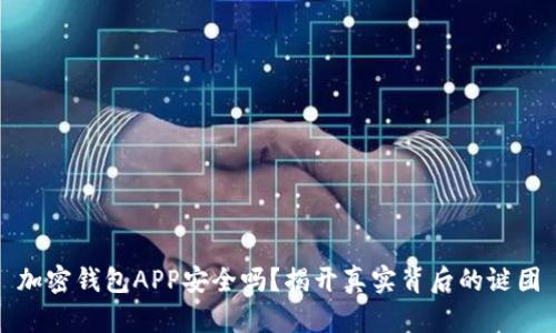 加密钱包APP安全吗？揭开真实背后的谜团
