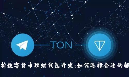全面解析数字货币理财钱包开发：如何选择合适的解决方案
