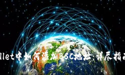 在TPWallet中如何添加BSC地址：详尽指南与技巧