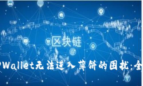 解决TPWallet无法进入薄饼的困扰：全面指南