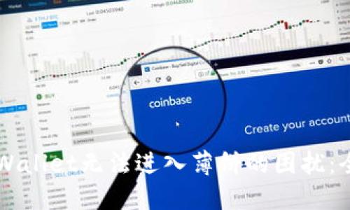 解决TPWallet无法进入薄饼的困扰：全面指南