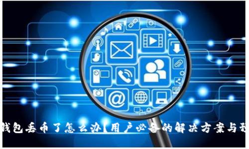 比特派钱包丢币了怎么办？用户必备的解决方案与预防措施