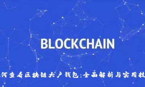 如何查看区块链大户钱包：全面解析与实用技巧