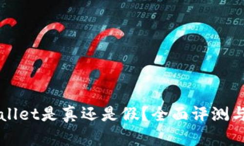 TPWallet是真还是假？全面评测与分析