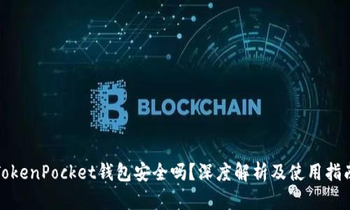TokenPocket钱包安全吗？深度解析及使用指南