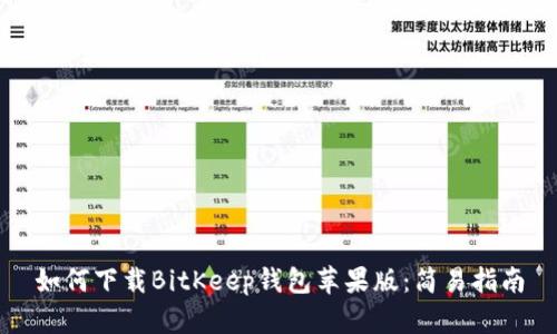 如何下载BitKeep钱包苹果版：简易指南