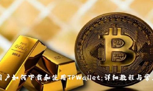 苹果手机用户如何下载和使用TPWallet:详细教程与常见问题解答
