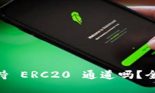 ### TPWallet 支持 ERC20 通道吗？全方位解读与用户指南