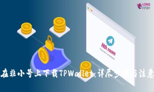 如何在非小号上下载TPWallet:详尽步骤与注意事项