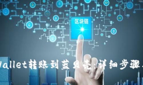 如何将TPWallet转账到蓝贝壳：详细步骤与注意事项