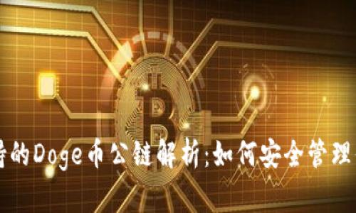 tpWallet支持的Doge币公链解析：如何安全管理你的数字资产
