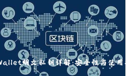 TPWallet明文私钥详解:安全性与使用指南