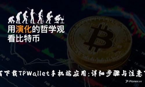 如何下载TPWallet手机端应用：详细步骤与注意事项