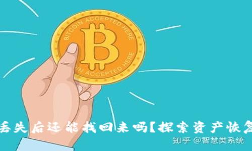 tpwallet资产丢失后还能找回来吗？探索资产恢复的方法与技巧