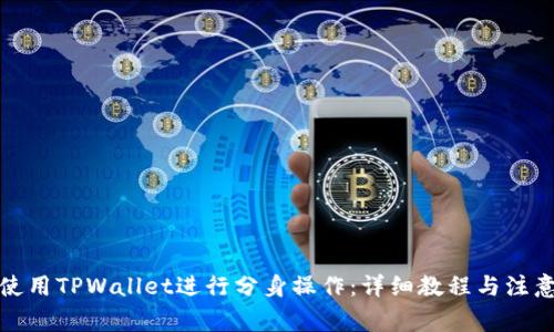 如何使用TPWallet进行分身操作：详细教程与注意事项