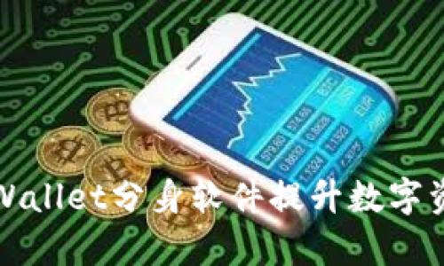 如何使用TPWallet分身软件提升数字资产管理效率