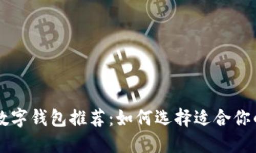 TPWallet可替代的数字钱包推荐:如何选择适合你的数字资产管理工具